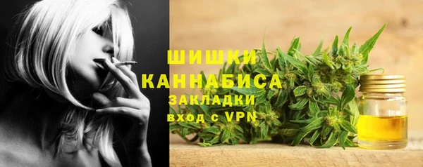 ALPHA PVP Няндома