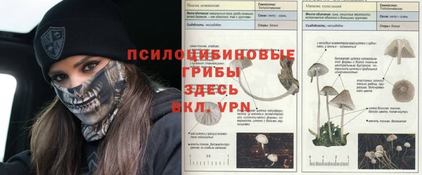 мяу мяу кристалл Армянск